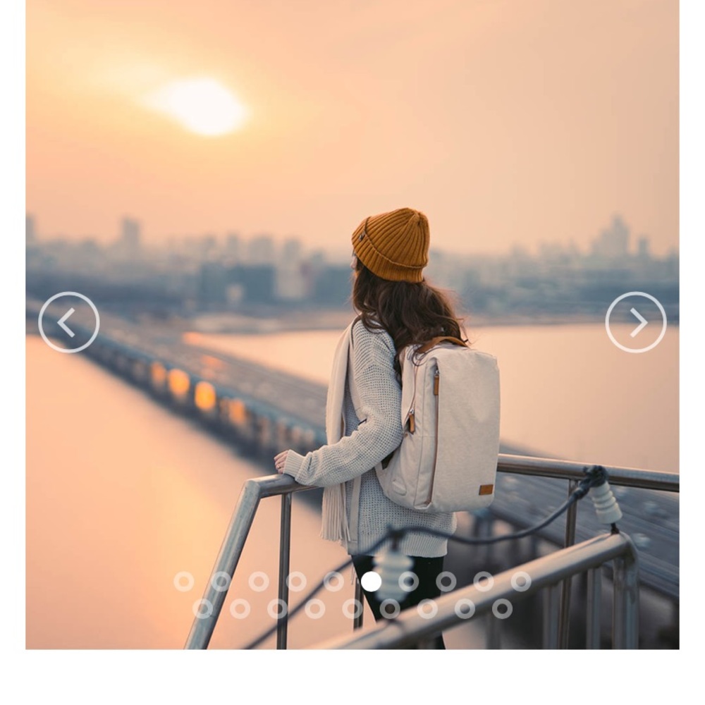 Nordace Smart Pack - sienna color NWT